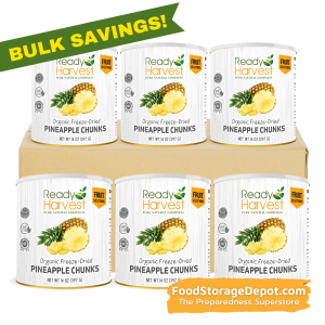 Ready Harvest Freeze-Dried Organic Pineapple 6 pack  14 oz