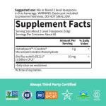 Sport Creatine Plus Probiotics Powder