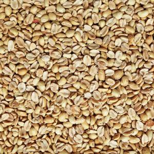 Roasted Organic Peanuts (1 lb)