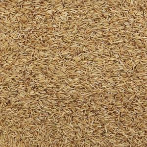 Organic Jasmine Brown Rice (25 lb)