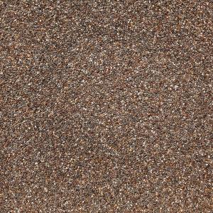 ORGANIC CHIA SEEDS, black (1 lb)