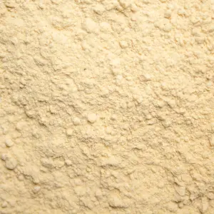 Organic Lion's Mane Powder Bulk (250g)