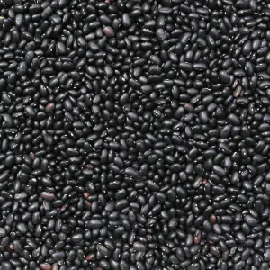 Organic Turtle Black Beans Dry (5 lbs)