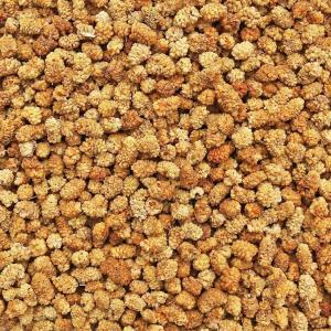 ORGANIC MULBERRIES, white (1 lb)
