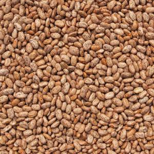 Organic Pinto Beans Dry (5 lbs)