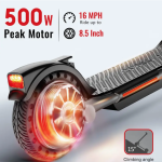 300W Folding Electric Scooter