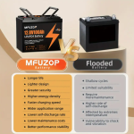 12V 100Ah High-Capacity LiFePO4 Deep Cycle Battery