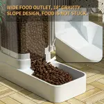 Automatic Pet Feeder & Waterer Set