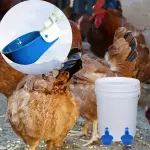 5PCS Easy-Clean Automatic Chicken Waterer Cups