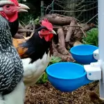 5PCS Easy-Clean Automatic Chicken Waterer Cups
