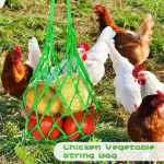 2pcs Chicken Vegetable Hanging Feeders, Poultry Vegetable And Fruit String Bags, Chicken Toys For Coop, Cabbage Feeder With Hook For Hens Goose Duck