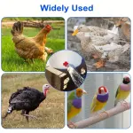 20pcs Stainless Steel Chicken Nipple Waterer - Leak-Proof, Automatic, Horizontal Side Mount Drinkers - Durable, Easy to Clean, for Chicken, Quail, and Poultry Farmers