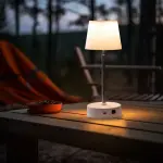 Solar-Powered LED Desk Lamp