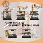 Two-Stainless-Steel-Bowl Elevated Dog Feeder